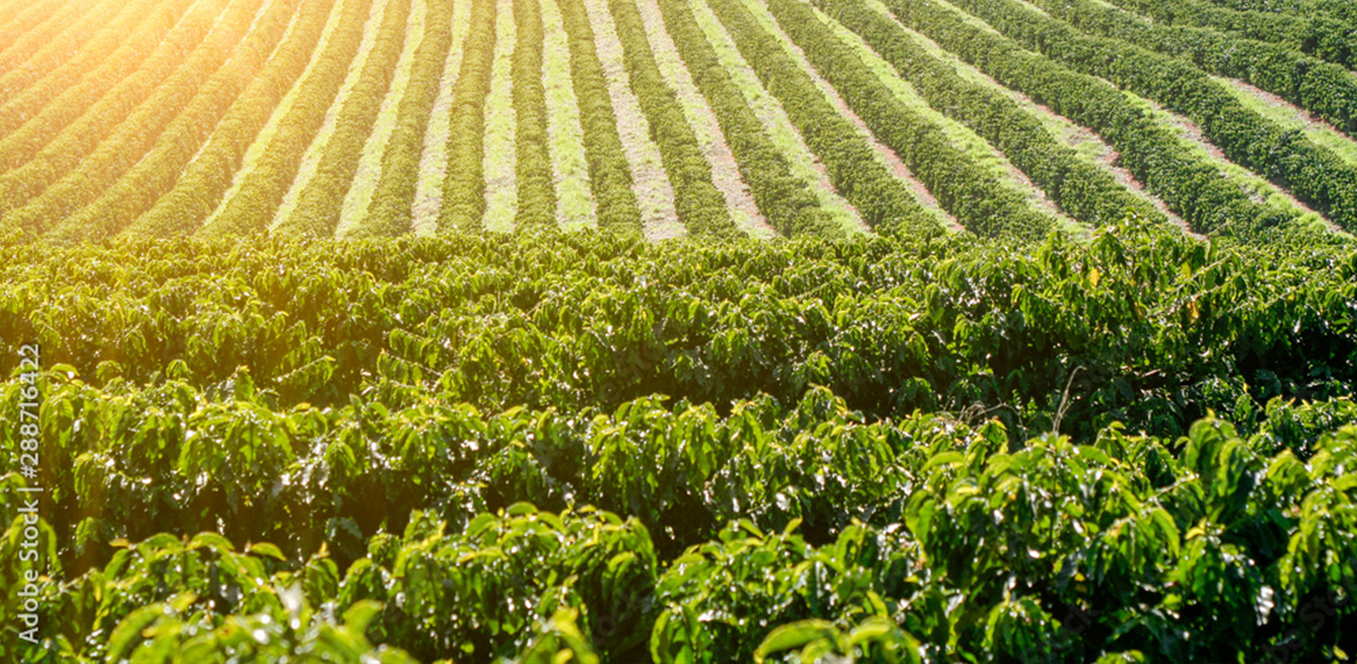 公司产品展示图